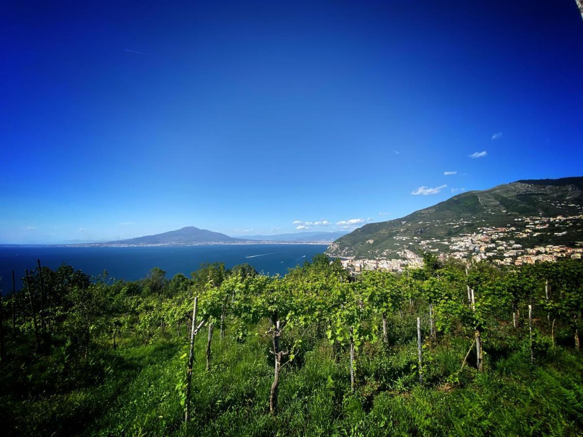 Вилла La Badia Montechiaro - Breathtaking View Of Sorrento Coast Вико-Экуенсе Экстерьер фото